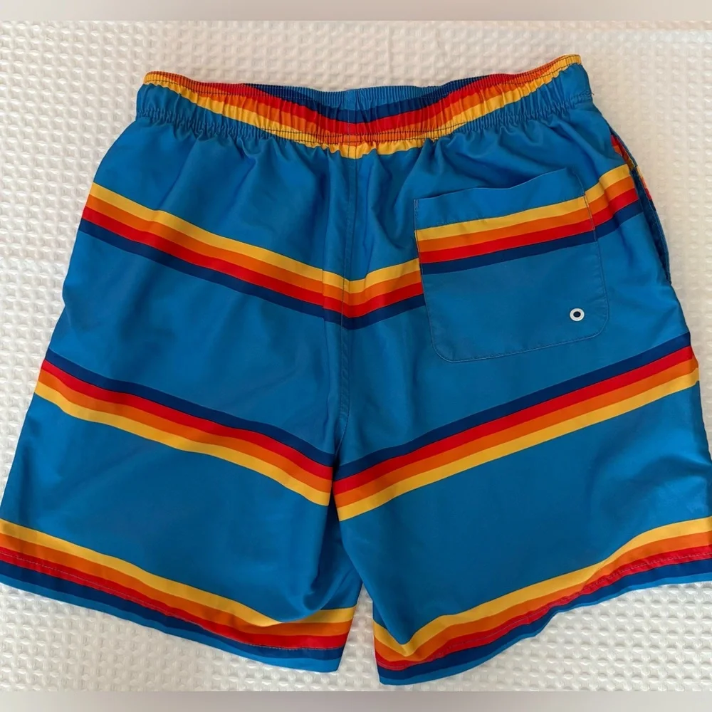Speedo Rainbow Striped Swim Trunks UPF 50+ SZ‎ LG
